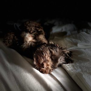 Meet your Posher, Karin